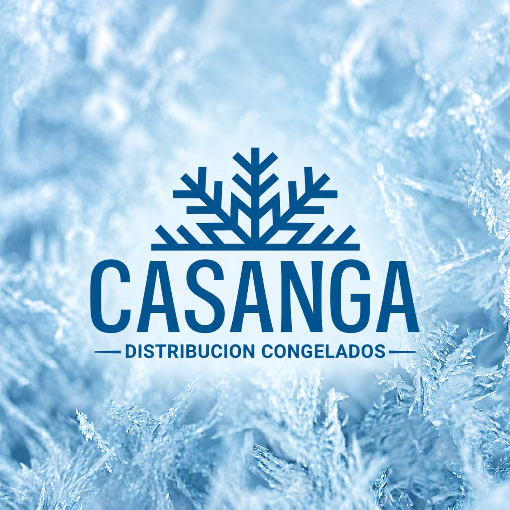 Casanga Distribución Congelados: logotipo azul sobre fondo de hielo